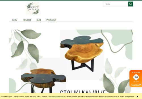 FRAGMENT NATURY DAWID JAROSZ